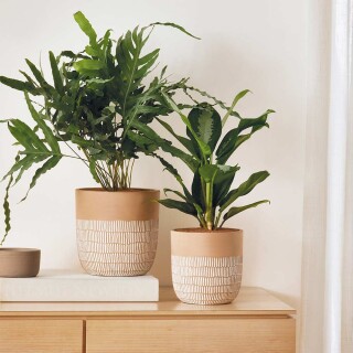 cachepot-bege-em-cimento-17-5cm-13332-mart_03_PUMEDCA265