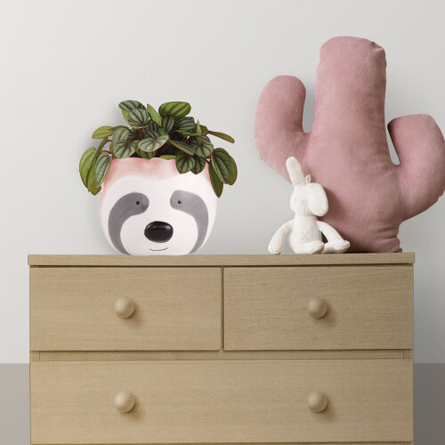 cachepot-bicho-preguica-em-ceramica-12171-mart_01_PUMEDCA165.jpg
