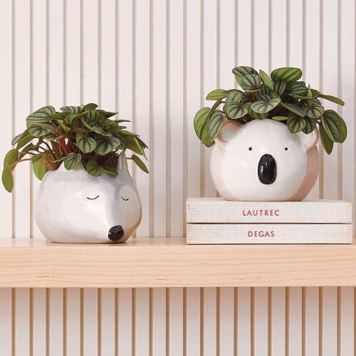 cachepot-coala-em-ceramica-12173-mart_01_PUMEDCA167.jpg