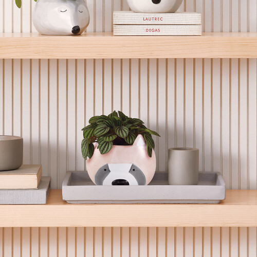 cachepot-guaxinim-em-ceramica-12172-mart_01_PUMEDCA166.jpg