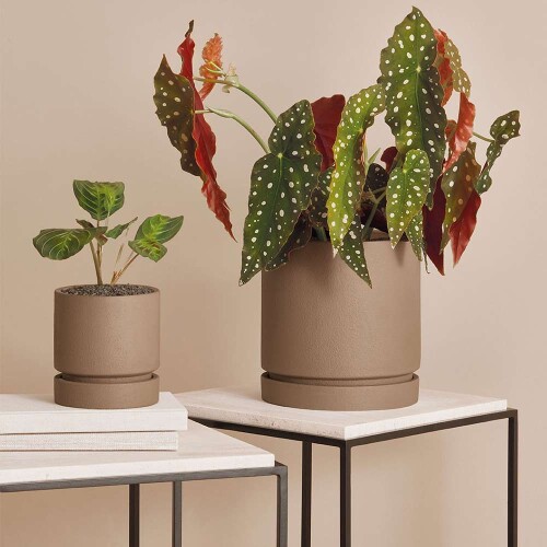 cachepot-marrom-em-cimento-12cm-13478-mart_02_PUMEDCA317.jpg