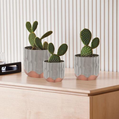cachepot-rose-gold-em-cimento-12cm-12853-mart_01_PUMEDCA158.jpg