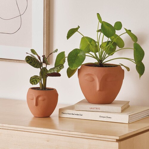 cachepot-terracota-em-cimento-12-5cm-13450-mart_01_PUMEDCA272.jpg