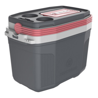 caixa-termica-cinza-e-rosa-20l-suv-termolar_01_MTT5ACE055