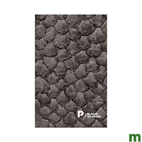 catalogo-placas-do-brasil-2024_01_SEMOCTL048.jpg