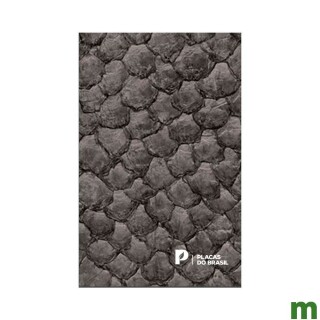 catalogo-placas-do-brasil-2024_01_SEMOCTL048