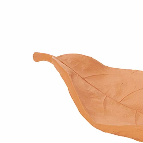 centro-de-mesa-folha-poliresina-caramelo-14912-mart_03_PUMEDCA219.jpg