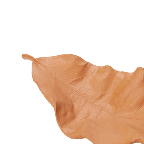 centro-de-mesa-folha-poliresina-caramelo-14913-mart_03_PUMEDCA245.jpg
