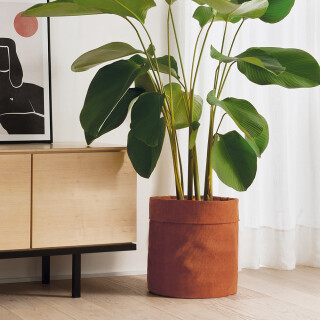 cesto-terracota-em-veludo-33cm-13691-mart_01_PUMEDCA286