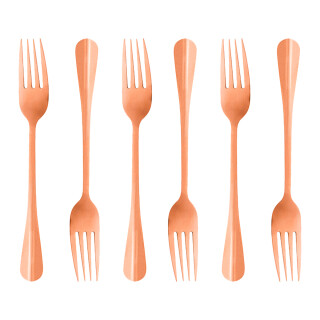 conjunto-6-garfos-para-mesa-rose-aco-inox-1276-positano-lyor_01_PUCOTAL025