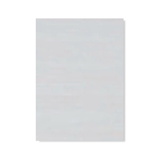 formica-larix-branco-md04-nature-0-8mm-3-08-x-1-25m-formiline_02_FOFONT4002