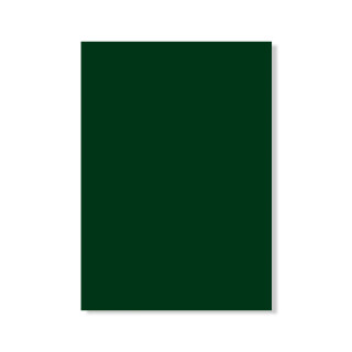 formica-lousa-verde-oficial-l113-1-0mm-3-08-x-1-25m-formiline_02_FOFOTX3033