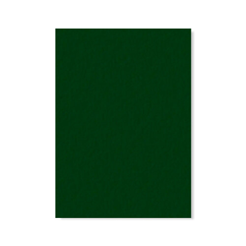 formica-post-forming-verde-oficial-l113-texturizado-0-6mm-3-08-x-1-25m-formiline_02_FOFOPT2023.jpg