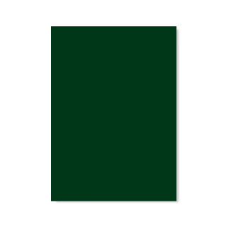 formica-verde-oficial-l113-brilhante-0-8mm-3-08-x-1-25m-formiline_02_FOFOBR3007