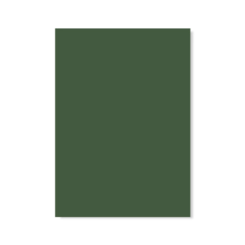 formica-verde-selva-l583-top-matte-0-8mm-3-08-x-1-25m-formiline_02_FOFOTP2009.jpg