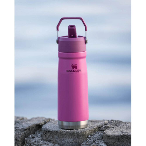 garrafa-termica-flip-straw-650ml-azalea-stanley_02_UTS8GRF038.jpg