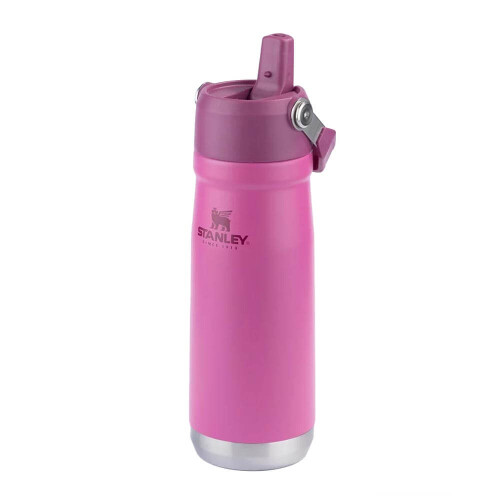 garrafa-termica-flip-straw-650ml-azalea-stanley_03_UTS8GRF038.jpg