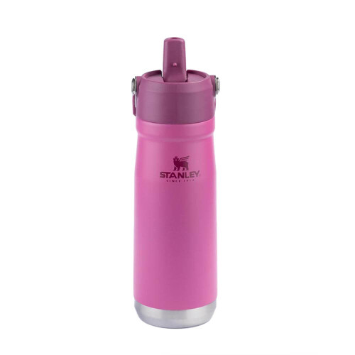 garrafa-termica-flip-straw-650ml-azalea-stanley_05_UTS8GRF038.jpg