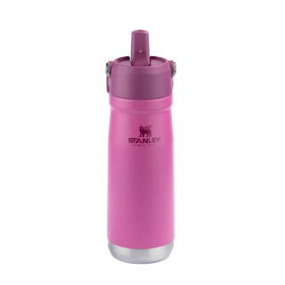 garrafa-termica-flip-straw-650ml-azalea-stanley_05_UTS8GRF038