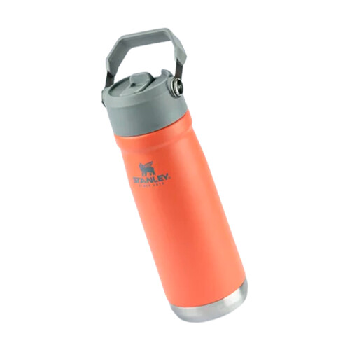 garrafa-termica-flip-straw-650ml-guava-stanley_02_UTS8GRF026.jpg