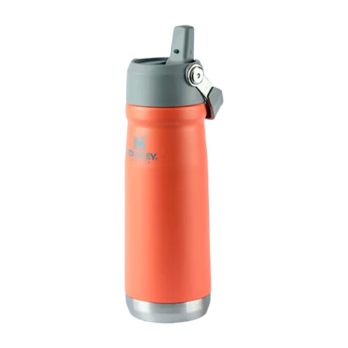garrafa-termica-flip-straw-650ml-guava-stanley_03_UTS8GRF026.jpg