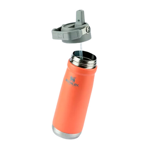 garrafa-termica-flip-straw-650ml-guava-stanley_04_UTS8GRF026.jpg