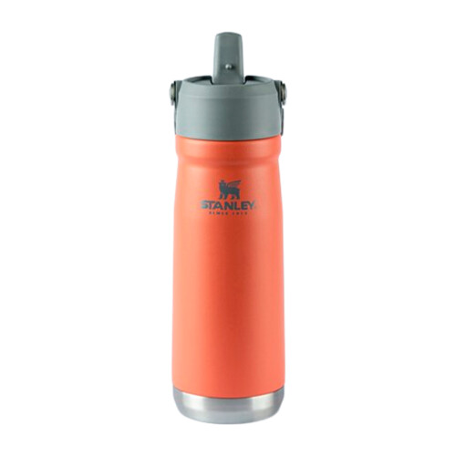 garrafa-termica-flip-straw-650ml-guava-stanley_05_UTS8GRF026.jpg