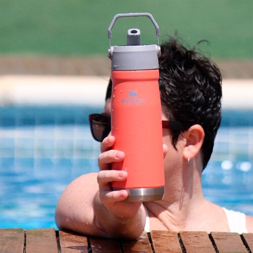 garrafa-termica-flip-straw-650ml-guava-stanley_06_UTS8GRF026.jpg