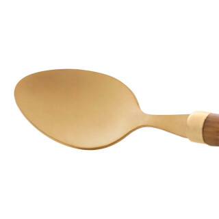jogo-de-6-colheres-de-cha-de-aco-inox-com-cabo-plastico-bambu-dourado-1800-lyor_04_PUCOTAL012