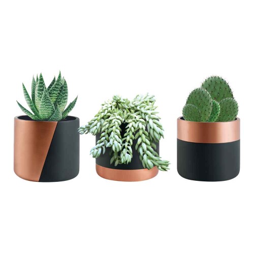 kit-de-cachepots-preto-e-cobre-em-cimento-10889-3-pecas-mart_02_PUMEDCA009.jpg