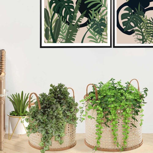 kit-de-cestos-em-rattan-2-pecas-13115-mart_03_PUMEDCA074.jpg