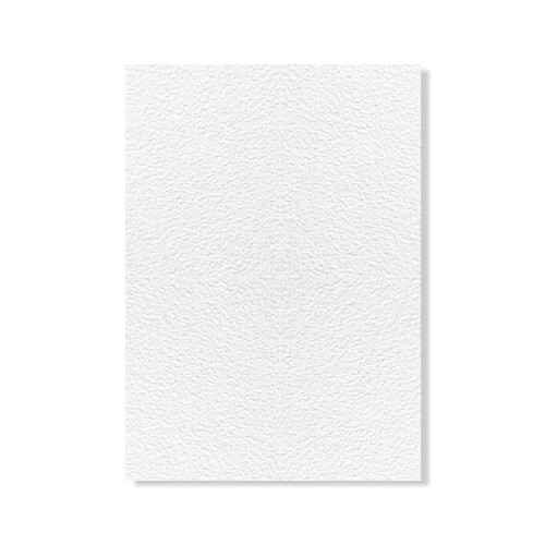 laminado-pet-branco-01-texturizado-0-35mm-1-00-x-1-25m-ecologico-lamiecco_02_FOLETX1004.jpg