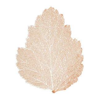 lugar-americano-folha-rose-47x38cm-7433-lyor_01_PUCODIV004