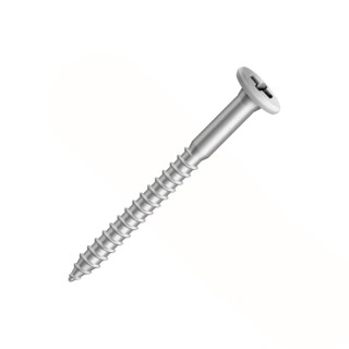 parafuso-cabeca-tampinha-fixer-zincado-branco-5-5x50mm-philips-100-unidades-ciser_01_FRCICIS032