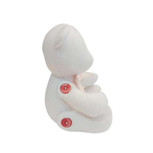 pelucia-decorativa-urso-ted-rosa-bloomy_03_DOINBOM007.jpg