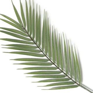 planta-artificial-palmeira-74cm-11685-mart_01_PUMEDCA022