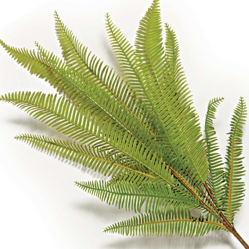 planta-artificial-samambaia-71cm-12240-mart_01_PUMEDCA135.jpg
