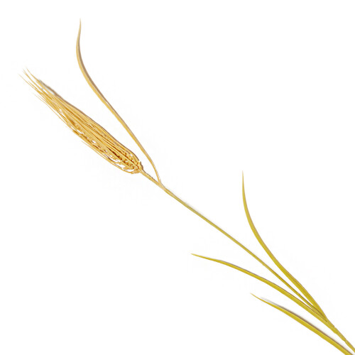 planta-artificial-trigo-75cm-12238-mart_01_PUMEDCA133.jpg