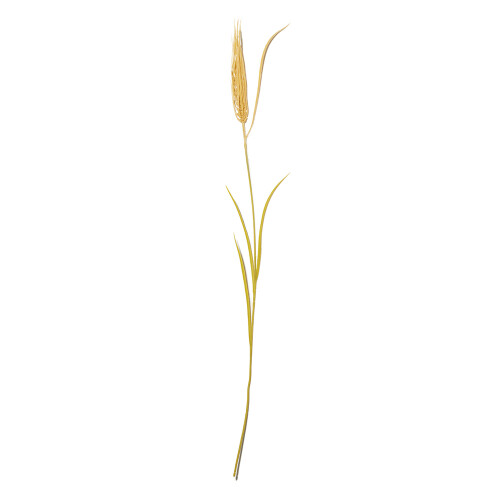 planta-artificial-trigo-75cm-12238-mart_02_PUMEDCA133.jpg