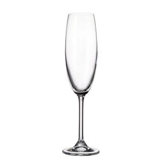 taca-de-champagne-de-cristal-ecologico-sommelier-220ml-transparente-5173-lyor_01_PUCOTAA004