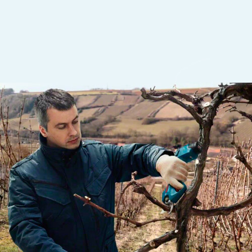 tesoura-de-poda-pro-pruner-bivolt-bosch_03_FEBHTSP001.jpg