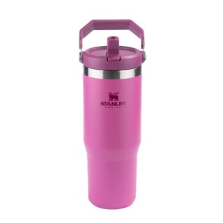 tumbler-termico-flip-straw-887ml-azalea-stanley_04_UTS8GRF037
