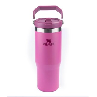 tumbler-termico-flip-straw-887ml-azalea-stanley_07_UTS8GRF037