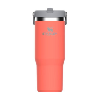 tumbler-termico-flip-straw-887ml-guava-stanley_01_UTS8GRF022