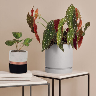vaso-preto-e-cobre-em-cimento-7696-mart_01_PUMEVAO001