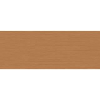 Fita-de-Borda-Metal-Champagne-65MMX20M-Guararapes--2