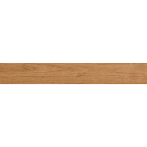 FITA-BORDA-TEGUS-CARMEL-PVC-22MMX20M-GREENPLAC-2-LAGFMAD207.jpg