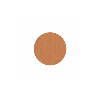 ADESIVO-12MM-JEQUITIBA-POENTE-CT-50-PCS-FLORA-LARHAD1223-02-1