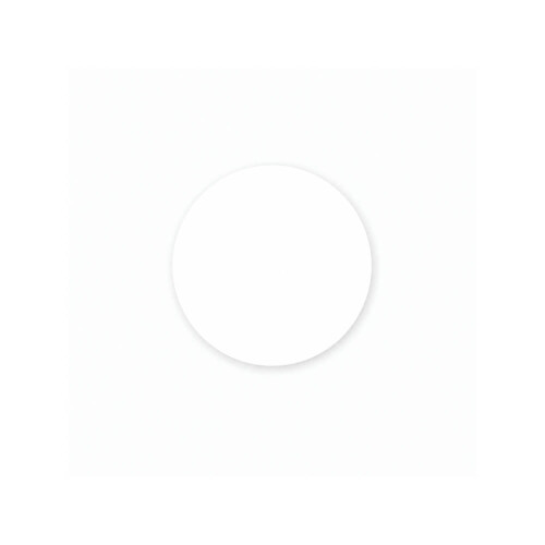 ADESIVO-12MM-BRANCO-LARISSA-CT-50-PCS-FIBRAPLAC-LARHAD1058-02.jpg