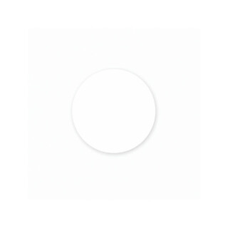 ADESIVO-12MM-BRANCO-LARISSA-CT-50-PCS-FIBRAPLAC-LARHAD1058-02